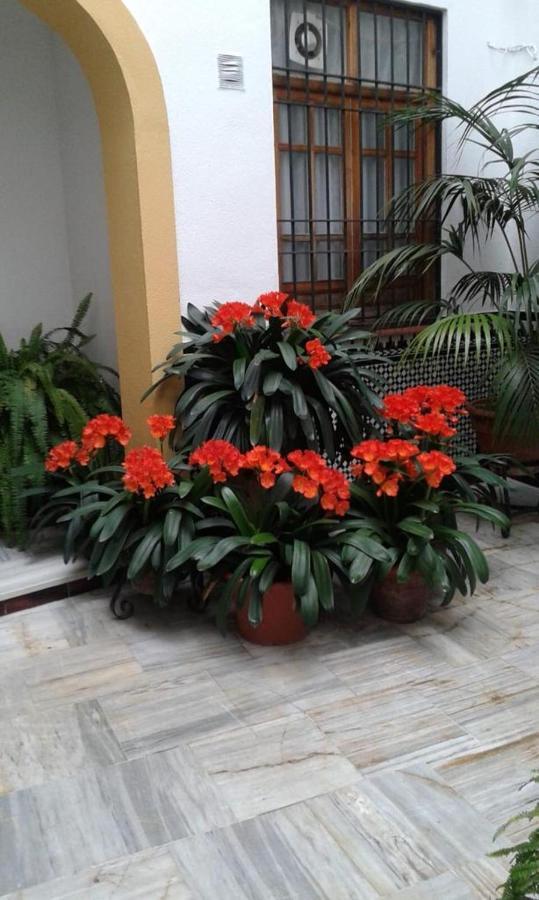 Apartmán Cordoba Centro Esencia Cordobesa. Mezquita Exteriér fotografie
